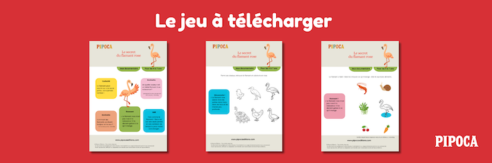Flamant rose – jeu educatif à imprimer pour enfants
