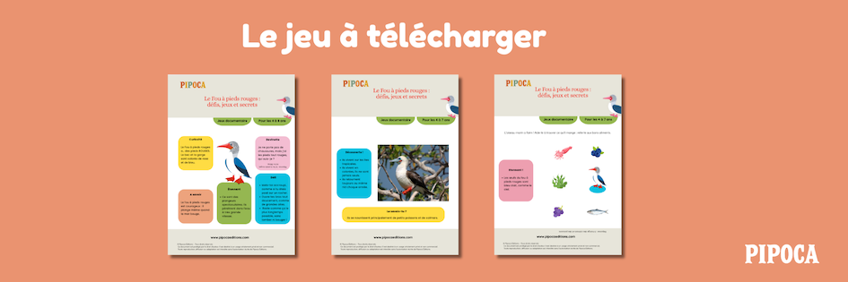 Jeu documentaire Le fou à pieds rouges à imprimer, pour découvrir un oiseau marin fascinant avec des défis et des informations éducatives.